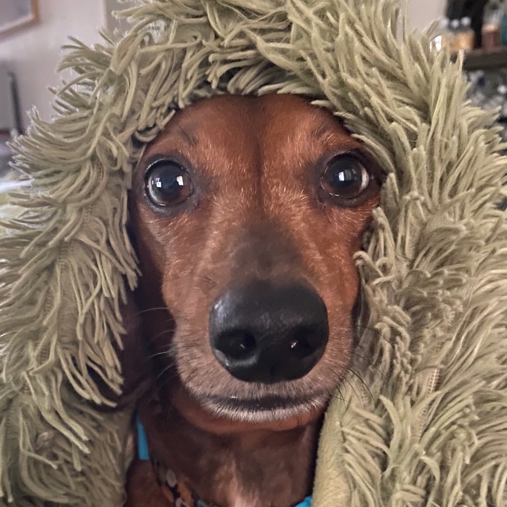 Meet your Posher, Catherine